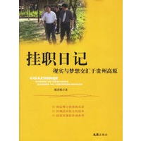 挂职日记：现实与梦想交汇于贵州高原