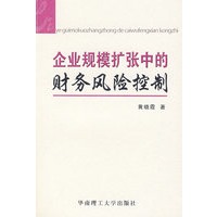 企业规模扩张中的财务风险控制