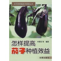 怎样提高茄子种植效益