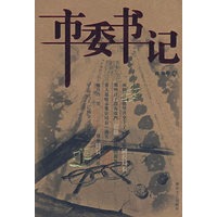 市委书记