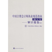 中国注册会计师执业规范指南．第5号，审计报告（试行）