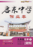 启东中学作业本：九年级化学 下（上海教育版）