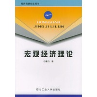 宏观经济理论——经济类研究生用书