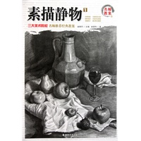 名师教案 三大美术院校 名师推荐经典教案 素描静物1