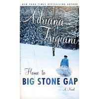 房子到大石缝/HOME TO BIG STONE GAP by Adrianna Trigiani