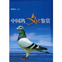 中国鸽文化鉴赏