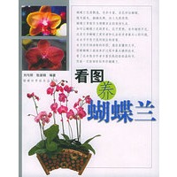 看图养蝴蝶兰