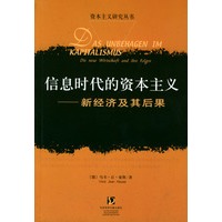 信息时代的资本主义：新经济及其后果