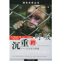 沉重的呼吸：人与大气环境——绿色未来丛书