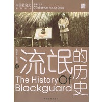 流氓的历史/中国社会史系列丛书