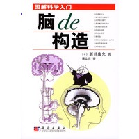 脑的构造