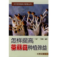 怎样提高茶薪菇种植效益*