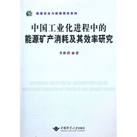 中国工业化进程中的能源矿产消耗及其效率研究