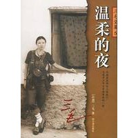 温柔的夜