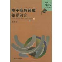 电子商务领域犯罪研究