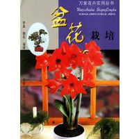 盆花栽培——万家花卉实用丛书