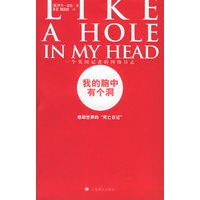 我的脑中有个洞:一个英国记者的网络日志