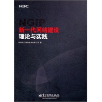 新一代网络建设理论与实践