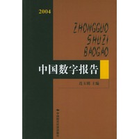 2004中国数字报告