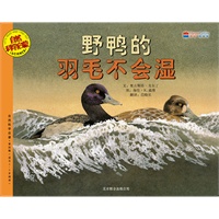 野鸭的羽毛不会湿
