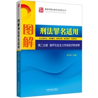 图解刑法罪名适用（含立案标准、定罪量刑、疑难问题、典型案例、证据规范）——第二分册 破坏社会主义市场经济秩序罪——最新刑事办案实务指导丛书