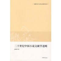 二十世纪中国小说文献学述略文献传承与文化认同研究丛书