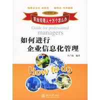 职业经理人十万个怎么办:如何进行企业信息化管理(综合管理类803)