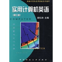 实用计算机英语(第三版)
