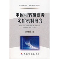 中国可转换债券定价机制研究
