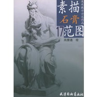 素描石膏范图17——美术教学示范作品