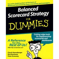 平衡记分卡策略 Balanced Scorecard Strategy For Dummies