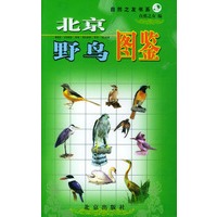 北京野鸟图鉴