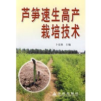 芦笋速生高产栽培技术