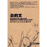 杂的文（韩寒经典杂文最新修订版）