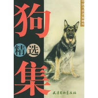 狗精选集