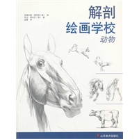 解剖绘画学校 动物