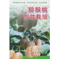 猕猴桃高效栽培