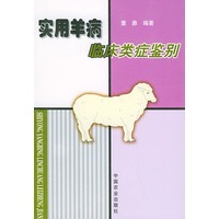 实用羊病临床类症鉴别