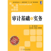 审计基础与实务