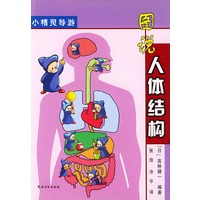 图说人体结构