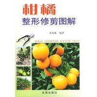 柑橘整形修剪图解
