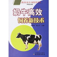 奶牛高效饲养新技术