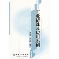 工业清洗及应用实例
