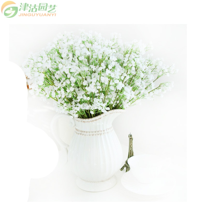 【家庭种植套餐 花卉香草种子组合 柠檬香蜂草