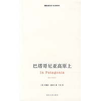 巴塔哥尼亚高原上