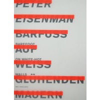 Peter Eisenman 建筑设计