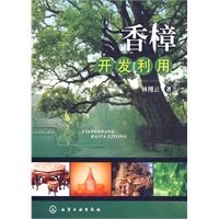 香樟开发利用