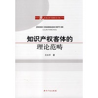知识产权客体的理论范畴