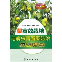 无公害果树优质高效栽培丛书--梨高效栽培与病虫害看图防治