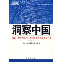 洞察中国：中国企业跨越式成长之路（IBM商业价值研究院的商业智慧）